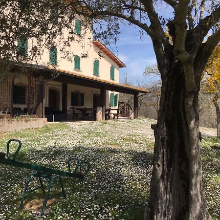 Pian D'Isola Bed and Breakfast Costacciaro Εξωτερικό φωτογραφία
